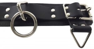 Locking 3-Ring Leather Collar by Spartacus - Image 4